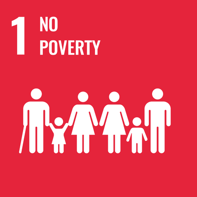 SDG Icon 1