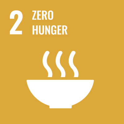 SDG Icon 2