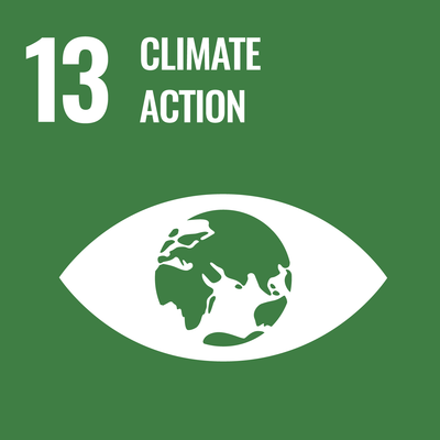 SDG Icon 10