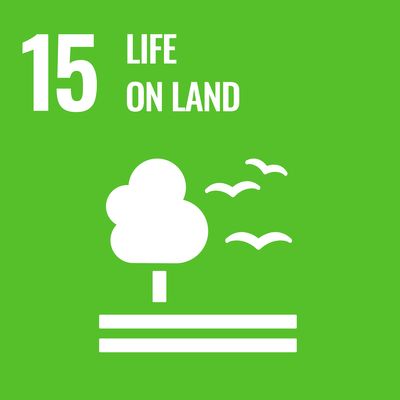 SDG Icon 11