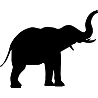 Habitat Fragmentation